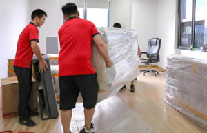 ͨ�����ٰ���